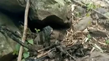 Skeleton Of Murdered Youth Retrieved From Cave, 3 Arrested