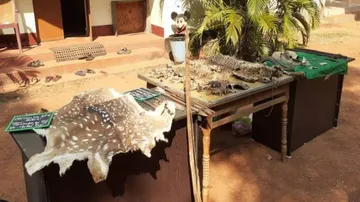 Dhenkanal: Teacher During Day, Poacher At Night