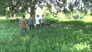 Sniffer Dog Goes Chappal Way, Helps Cops Trace Thief In Odisha (WATCH)