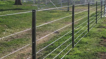 Odisha Govt Plans To Involve Communities For Solar Fencing In Elephant-Impacted Areas