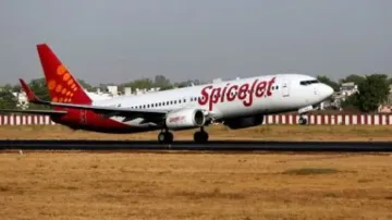 Spicejet