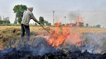 How To Avoid Stubble Burning: Rice Producer Odisha