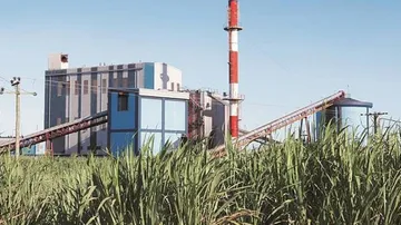 Centre's Focus On Ethanol Likely To Reduce Sugar Exports, Positive For Industry: Ind-Ra