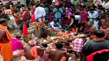 Odisha: Bloodbath Marks Initiation Of Sulia Jatra In Bolangir