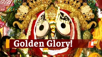 Ratha Jatra | Suna Besha | Lord Jagannath & Siblings Bask In Golden Glory