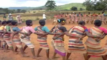Odisha to conserve 700 sacred groves to protect tribal culture