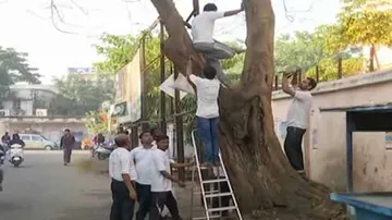 BeMC introduces penalty system to make trees nail-free