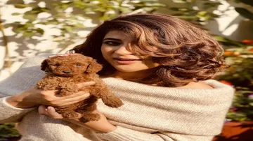 Ayushmann Khurrana and Tahira Kashyap Welcome 'Little Jaan'; Twinkle Khanna, Bhumi Pednekar React