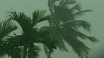 Rain, Thunderstorm To Lash Several Parts Of Odisha In Next Few Days: Met Dept