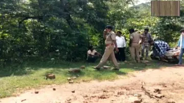 Odisha: Fear Grips Villagers After Cow Killed In Suspected Tiger Attack