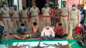 Nabarangpur: Three Leopard Skins Seized, 4 Arrested