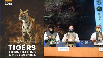 India Ready To Take Leadrship Role In Global Tiger Consevation: Prakash Javadekar