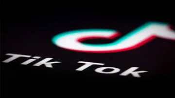 Cornered by cops, TikTok villain shoots himself in UP bus