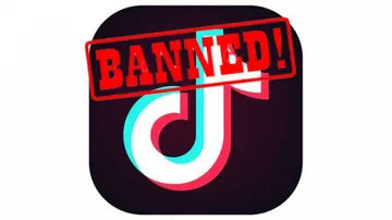 Why TikTok ban may not have the desired results