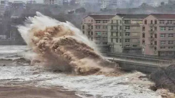 China Typhoon Toll Reaches Over 49
