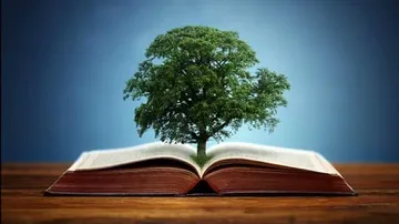 New UGC Guidelines: Environmental Studies compulsory for UG courses