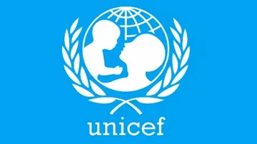 UNICEF Calls For Immediate Release Of Abducted Children In Nigeria