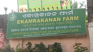 Odisha: Transfer Of Ekamrakanan Land In Bhubaneswar Put On Hold
