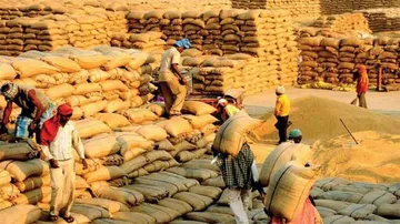 No 'Token' blow, Paddy prices drop Rs 65/q below MSP in Odisha's Sundargarh!