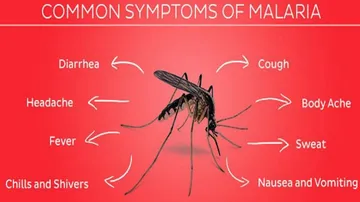 Fani throws a spanner in Odisha's Malaria 'DAMaN' spree!