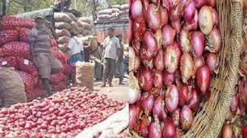 Stockholding controls, boost in arrivals & imports may see onion prices in odisha tumble below Rs 15/kg in Jan 2020