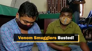 Snake Venom Smuggling Racket Busted In Bhubaneswar