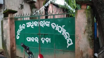 Another Elephant 'Killed For Tusks' In Odisha