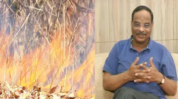 Odisha Govt Plans To Train Students For Forest Fire Fighting