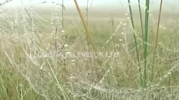 Odisha: Mercury Drops Below 15 Degree C In 4 Towns