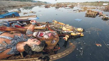Submit report on Yamuna post idol immersion: NGT to Delhi govt