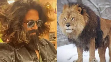 KGF's Yash Aka Rocky Bhai Meets 'Babbar Sher', Fans Go Frenzy