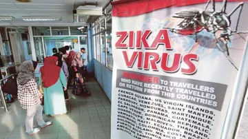 Zika's effects on newborns persist even in adults: Study