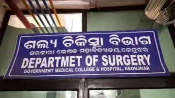 Man critically injured in elephant attack in Odisha’s Keonjhar 