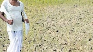 Drought imminent in six districts of State due to poor rains