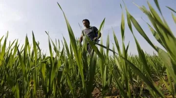 Over 70% Indian Agri-Households Possess A Hectare Or Less Land