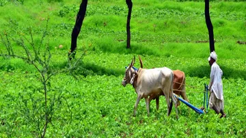 Agri sector didn't see reforms for 25 years: NITI Aayog Member