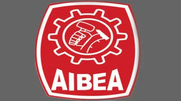 Bank merger will not help recover bad loans: AIBEA