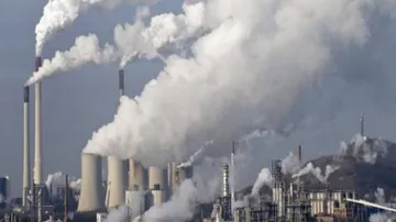 Air Pollution Linked To Heart Issues In Humans, Animals