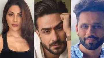 Bigg Boss 14: Fans Overjoyed After Nikki Tamboli, Aly Goni Re-Enter The House,Is Rahul Vaidya Back Too? See Here First