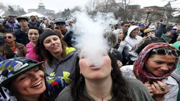 US college students using marijuana at highest level: Study