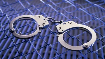 Food safety officer in Vigilance net