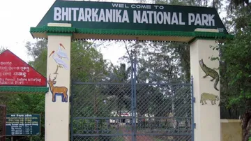 Bhitarkanika National Park To Remain Shut From January 15 For Crocodile Census