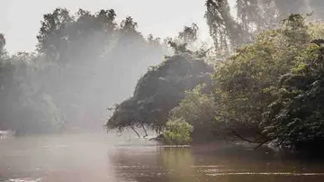 Tourist footfall on the rise at Bhitarkanika National Park