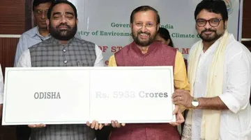 Odisha Gets Rs 5933.98 Crore For Afforestation Under CAMPA Programme
