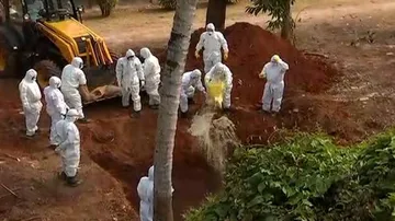 Bird Flu Scare: Mass Culling Of Poultry Birds Begins In Bhubaneswar