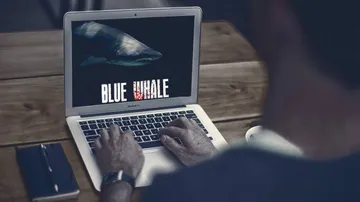 Blue Whale Game: Youth attempts suicide, admitted to hospital