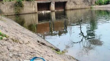 Two boys of a family found dead