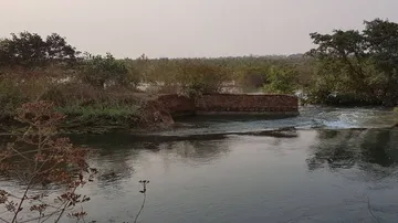 Farmlands submerged in canal breach