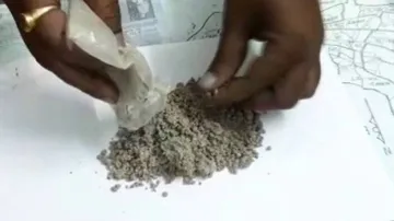 Odisha Crime Branch STF Seizes Brown Sugar Worth Rs 25 Lakh, 1 Held In Khordha