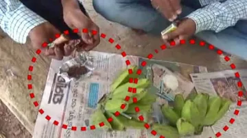 Brown Sugar Trade In Banana Clusters! Video Shows Involvement Of College Students